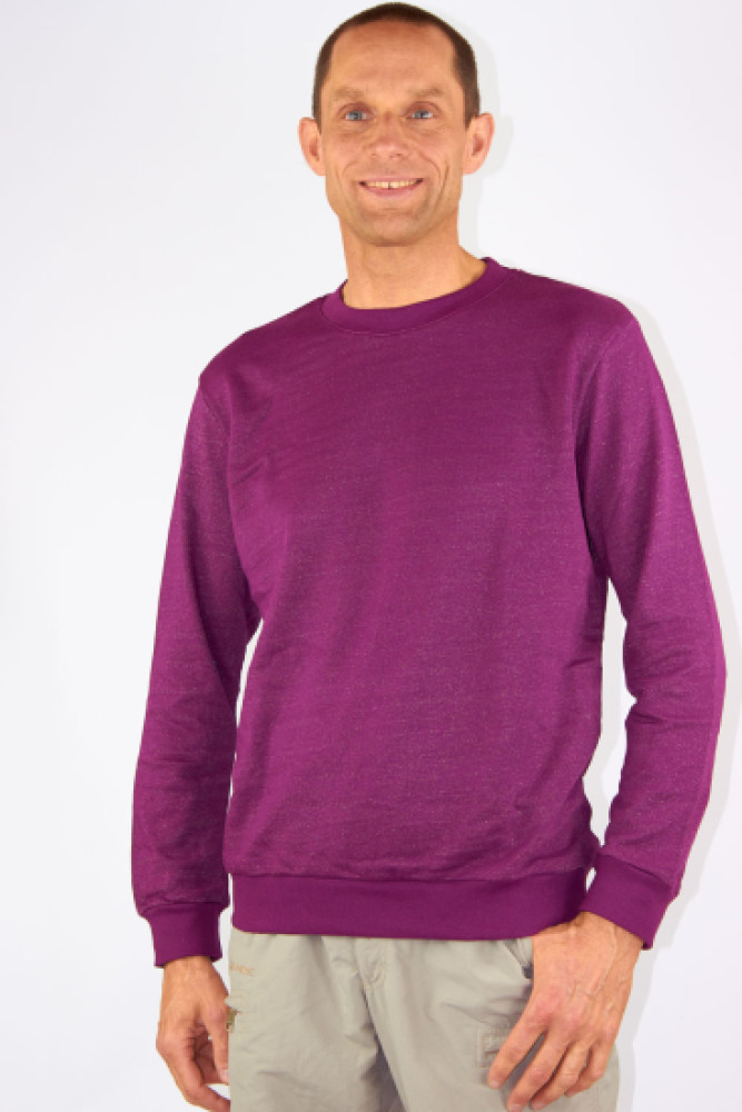 Sweat-shirt pour homme en coton bio, sweat-shirt argenté en maille, 31 dB à 1 GHz - 3 couleurs